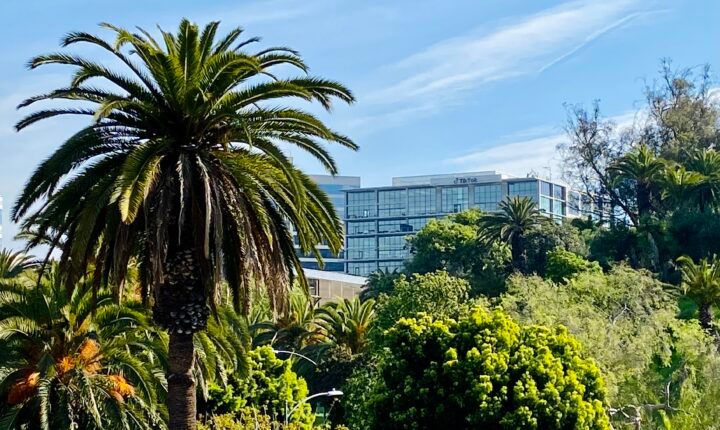 TikTok sign on a curved office building in Culver City, photographed March 18, 2023