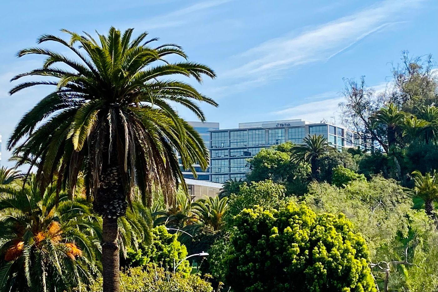 TikTok sign on a curved office building in Culver City, photographed March 18, 2023